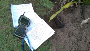 Survey fieldwork - Digging pins